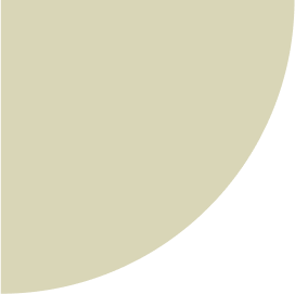 شركة تصميم مواقع - Shape 3 - الأمير ميديا